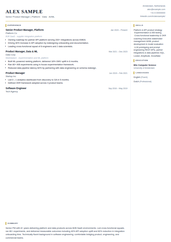 Preview of the Executive CV template, an A4 CV page showing the profile, skills, experience and education sections